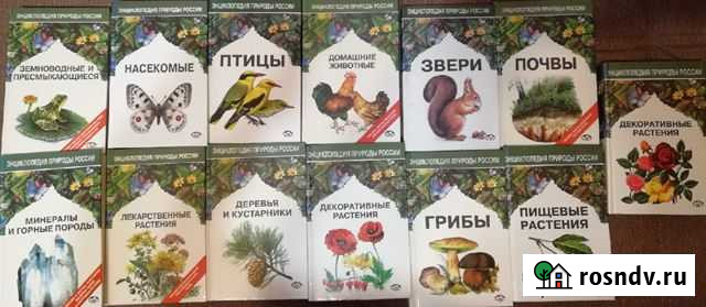 Энциклопедия природы России Псков - изображение 1