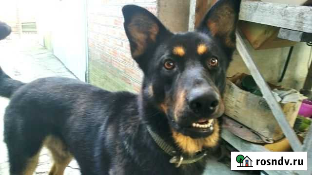 Вязка Стародеревянковская - изображение 1