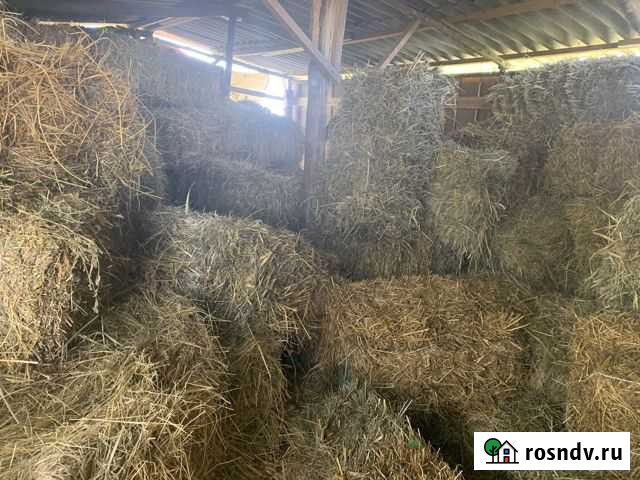 Сено Абинск - изображение 1