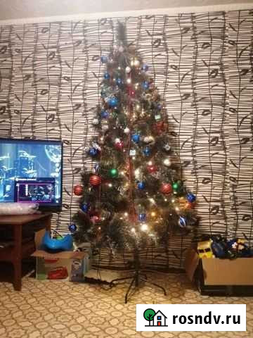 Сосна, гирлянда, Елка искусственная Брянск - изображение 1