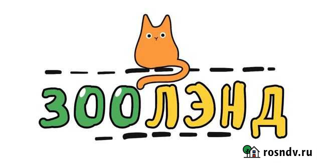 Продавец консультант в зоомагазин Калининград - изображение 1