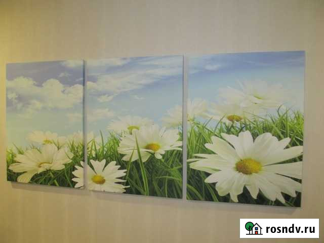 Модульные картины Калуга - изображение 1