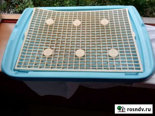 Лоток, поилка для собак Красногорск - изображение 1