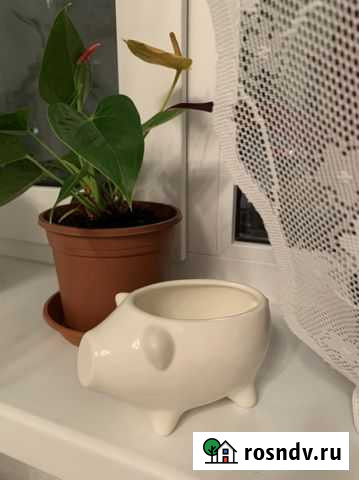 Кашпо горшок для цветов Мурино - изображение 1