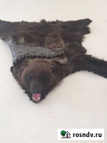 Шкура медведя искусственная Вологда - изображение 1