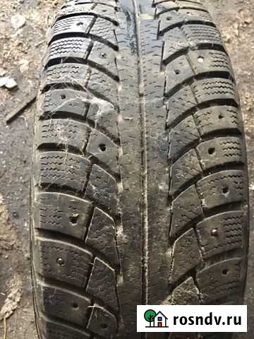 Шины Сатинка - изображение 1