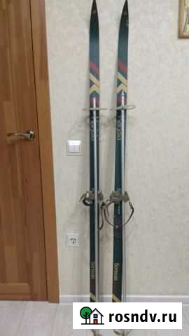 Беговые лыжи Калининград - изображение 1