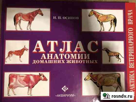 Атлас анатомии домашних животных Осипов Ржев