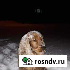 Вязка Коренево - изображение 1