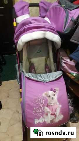 Санки коляска Родники - изображение 1