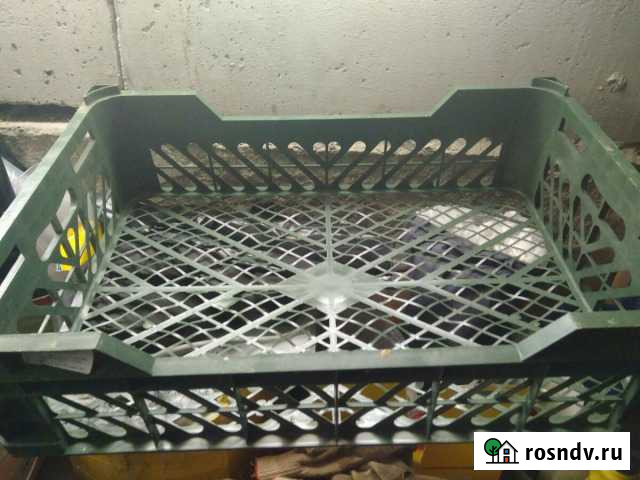 Ящики пластиковые Сыктывкар - изображение 1