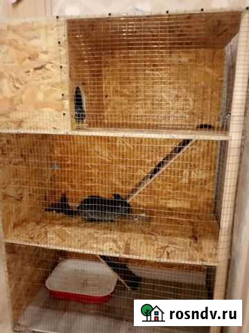 Клетка вольер Елабуга - изображение 1