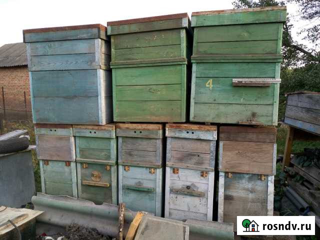 Продам Ульи Калач - изображение 1