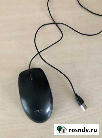 Мышь Саянск - изображение 1