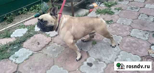 Вязка Самара - изображение 1