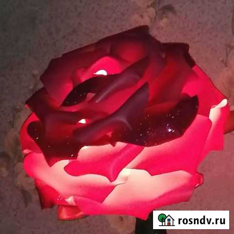 Светодиодный светильник настольный Курск - изображение 1