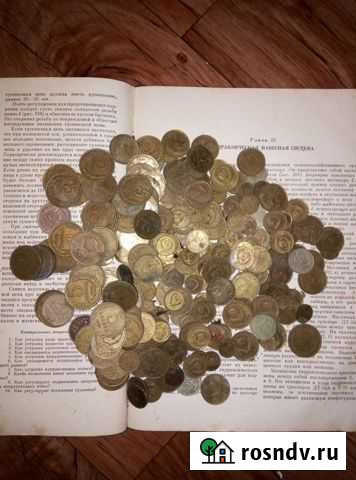 Монеты Соликамск - изображение 1