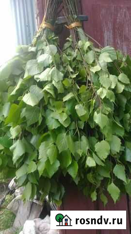 Веники для бани Черняховск - изображение 1