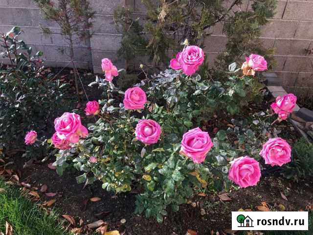 Парикмахер выезд на дом Мурманск - изображение 1