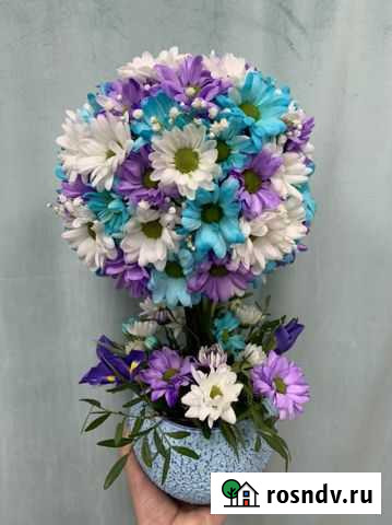 Деревце Счастья Ярославль - изображение 1