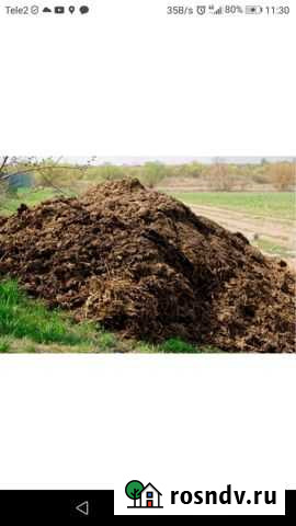 Навоз, перегной Милославское - изображение 1