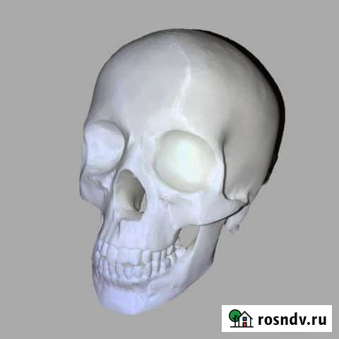 3d печать Мурино - изображение 1