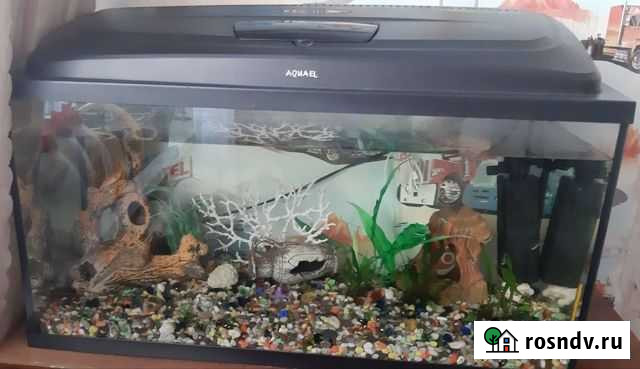 Украшения для аквариума Карпинск - изображение 1