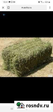 Сено Трудобеликовский - изображение 1