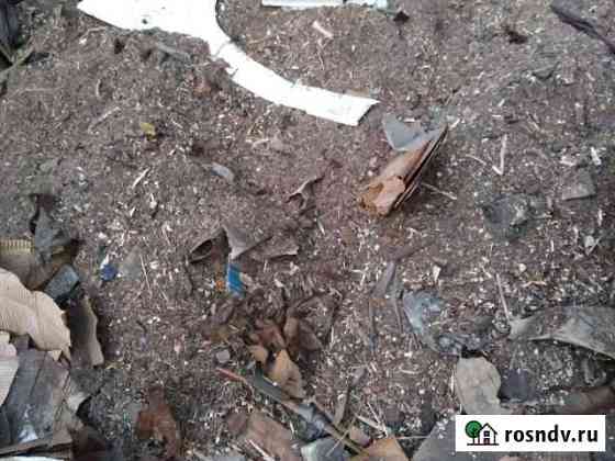 Опилки даром Омск