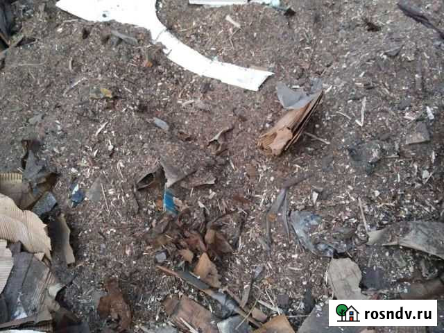 Опилки даром Омск - изображение 1