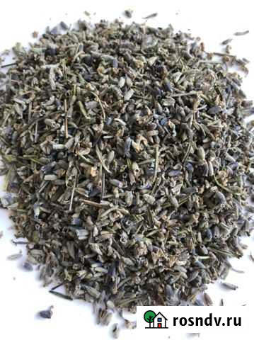 Лавнада цвет Барнаул - изображение 1