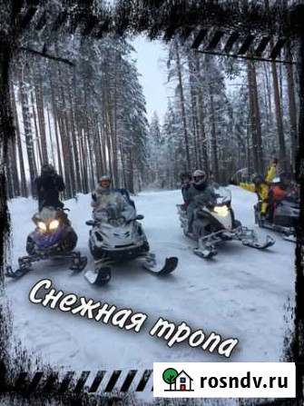 Туры на снегоходах/квадроциклах Петрозаводск - изображение 1