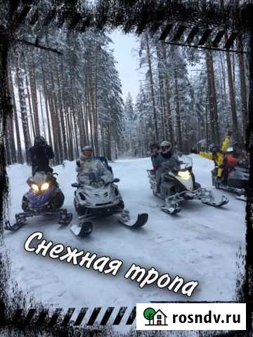 Туры на снегоходах/квадроциклах Петрозаводск - изображение 1