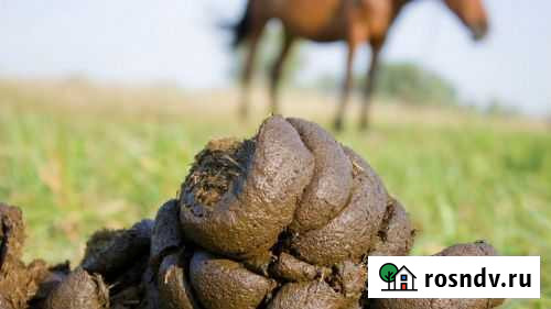 Навоз конский. Мешок 60 л Рощино - изображение 1