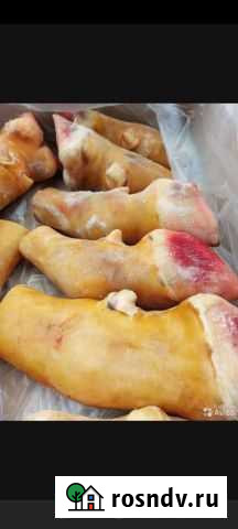 Лакомства для собак,еда,корм Елизово - изображение 1