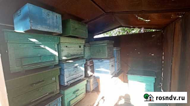 Ульи 17шт Орловский - изображение 1