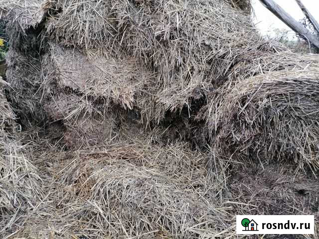 Солома прелая Болохово - изображение 1