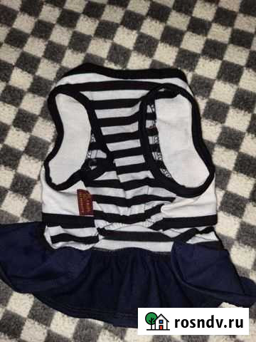 Вещи для маленькой собачки Волхов - изображение 1