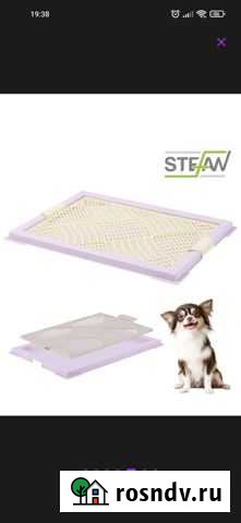 Лоток туалет для собак Златоуст - изображение 1