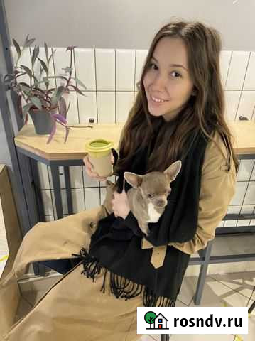 Репетитор начальных классов Новое Девяткино - изображение 1