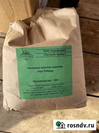 Семена для газона, остатки (мятлик, овсянница) Саранск