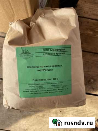 Семена для газона, остатки (мятлик, овсянница) Саранск - изображение 1