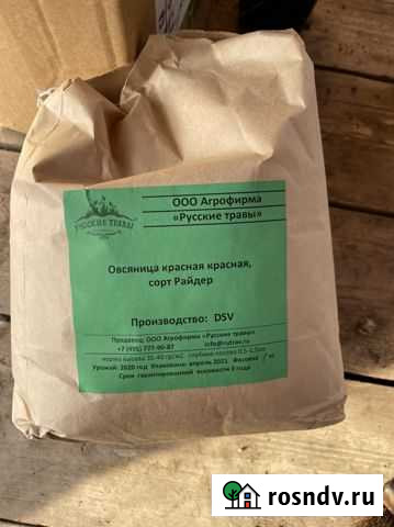 Семена для газона, остатки (мятлик, овсянница) Саранск - изображение 1