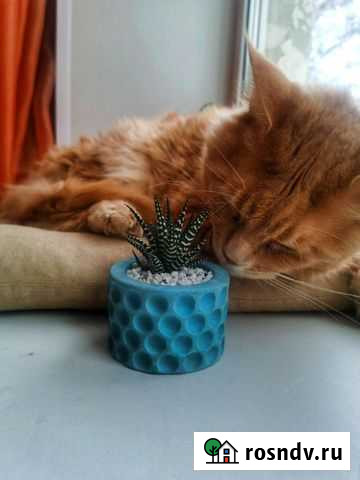 Кашпо из бетона (с суккулентом и без) Тамбов - изображение 1