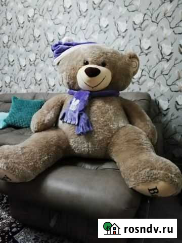 Мишка Грибановский - изображение 1