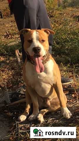 Ищу подружку Туапсе - изображение 1