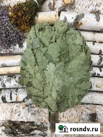 Веники дубовые Кинешма - изображение 1