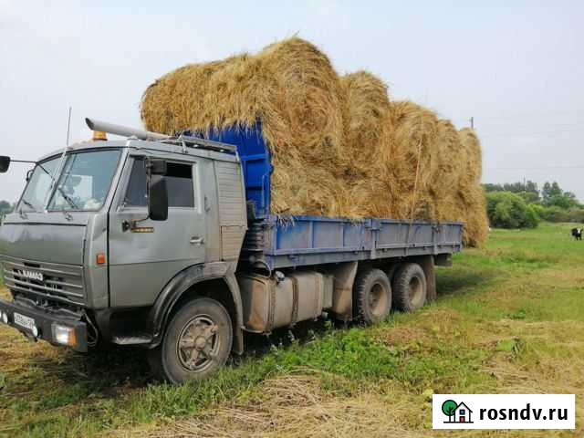 Сено Красноярск - изображение 1