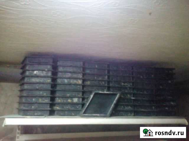 Форма для изготовления тротуарной Дубовка - изображение 1