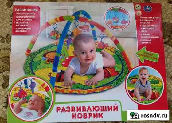 Развивающий коврик Байкит